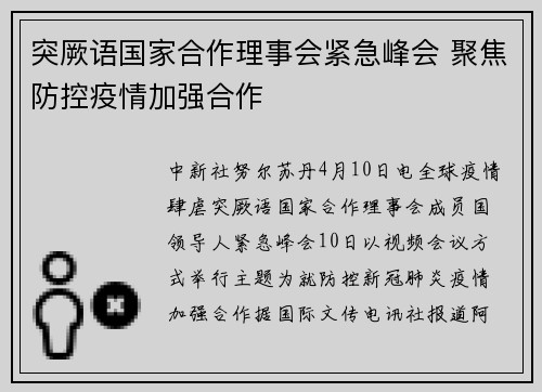 突厥语国家合作理事会紧急峰会 聚焦防控疫情加强合作